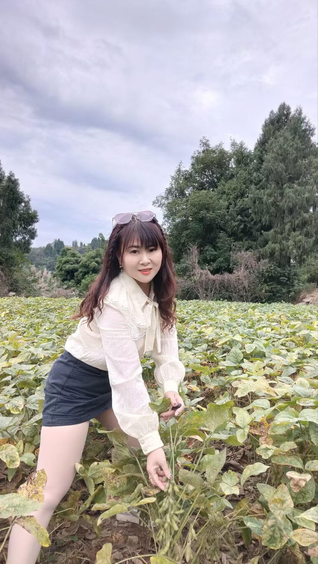 假如这世界没有你，什么都提不起兴趣，假如有一天又见到了你，幸福的会把眼泪滴…