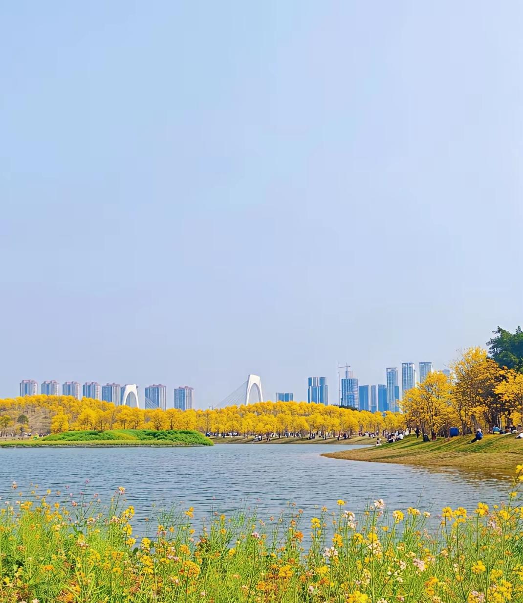 真金白银的投入美化，是南宁成为春节顶流的主要原因！作为一个南宁人，对南宁市的变化