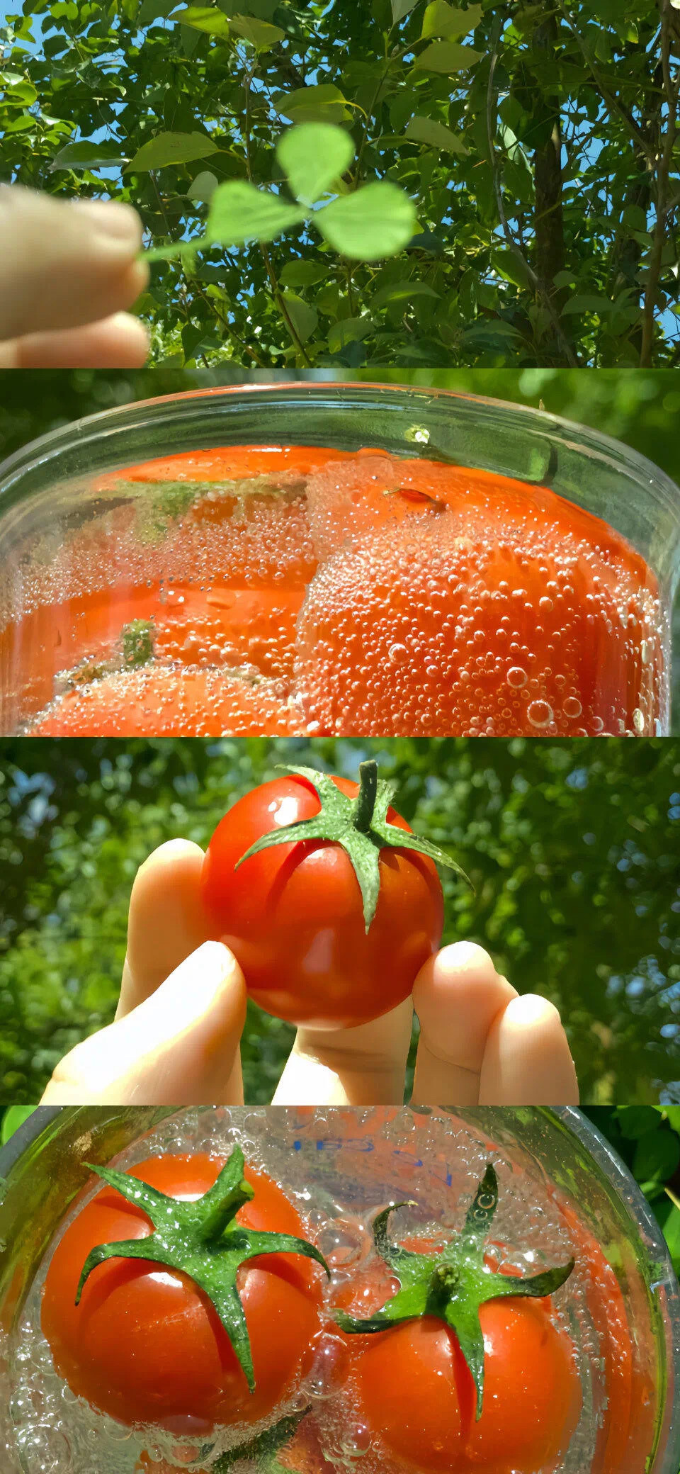 治愈系食物壁纸丨聊天背景图丨全屏手机壁纸