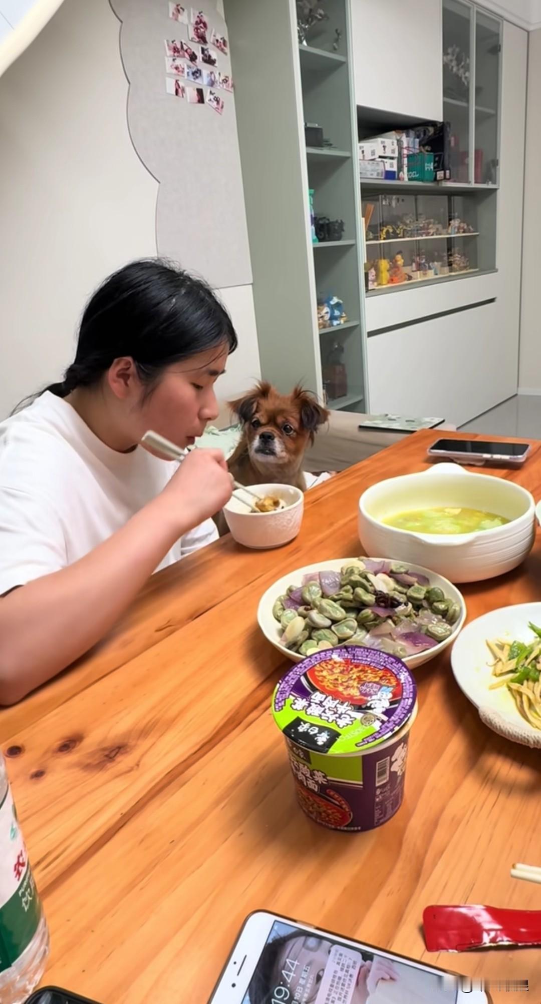女主人正享用着香气扑鼻的饭菜，狗狗在一旁眼巴巴地望着。它那模样实在是让人忍俊不禁