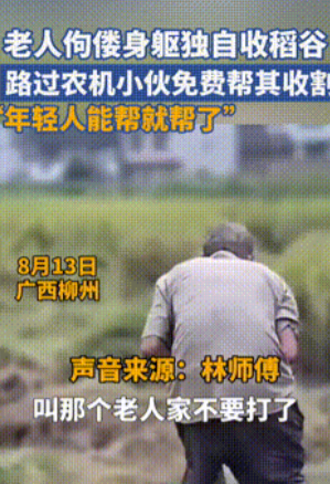 难怪人家能赚到钱！”广西柳州，一小伙驾驶农机工作时，看到了一老人正佝偻着收稻谷，