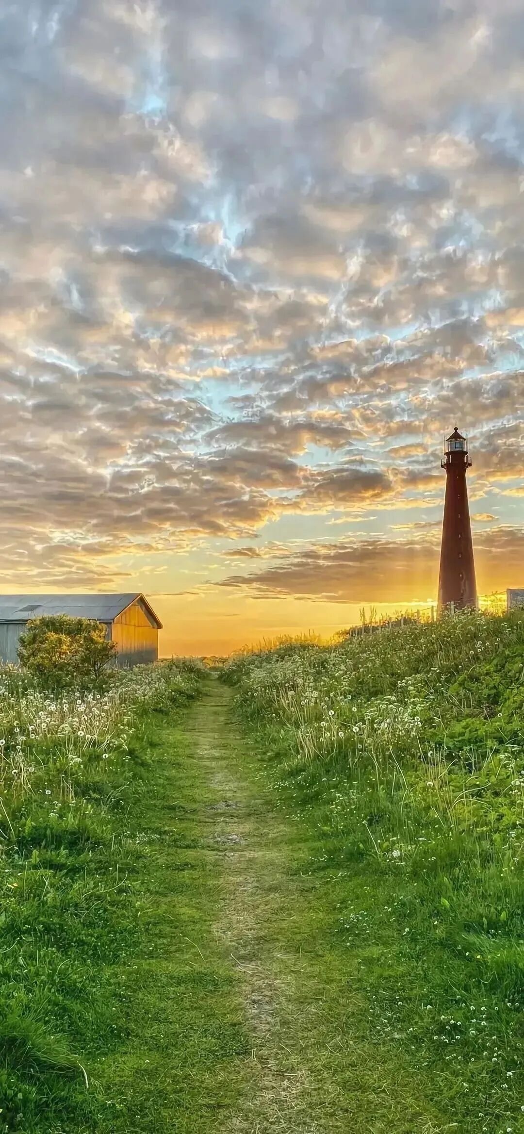自然风景壁纸丨全屏高清手机壁纸丨聊天背景