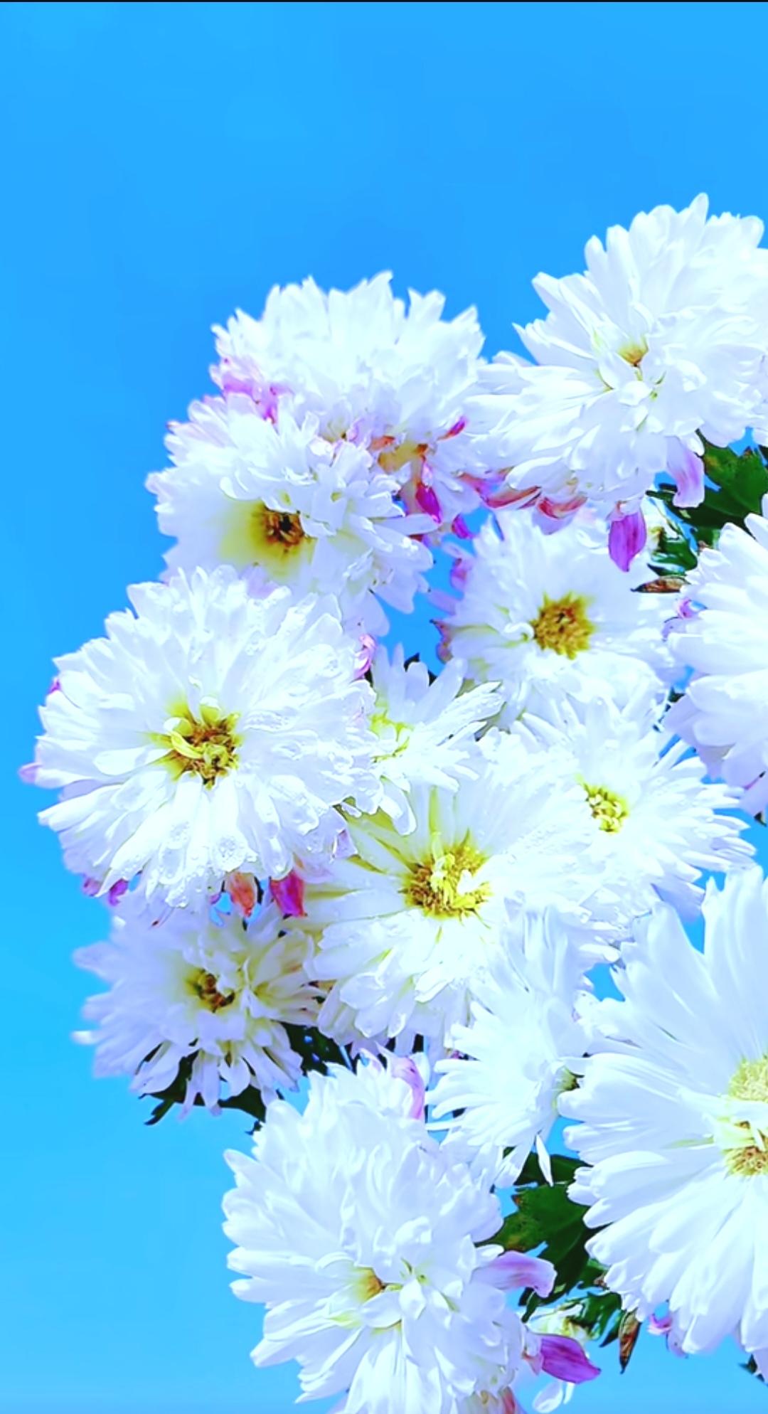 你知道吃大蒜对肝脏到底好不好？吃大蒜对肝脏到底好不好，这得两说。从好的方面讲