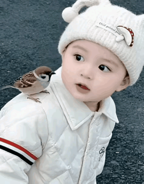 事缓则圆（冷静决策更周全）、人缓则安（沉稳心态避冲动）、语迟则贵（审慎言辞赢尊重