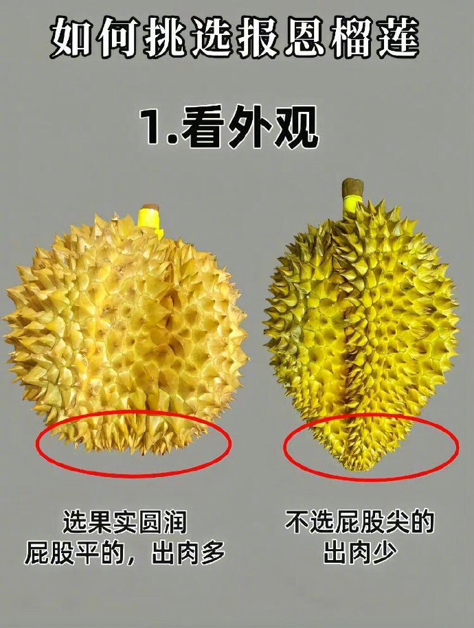 如何挑选报恩的榴莲​​​