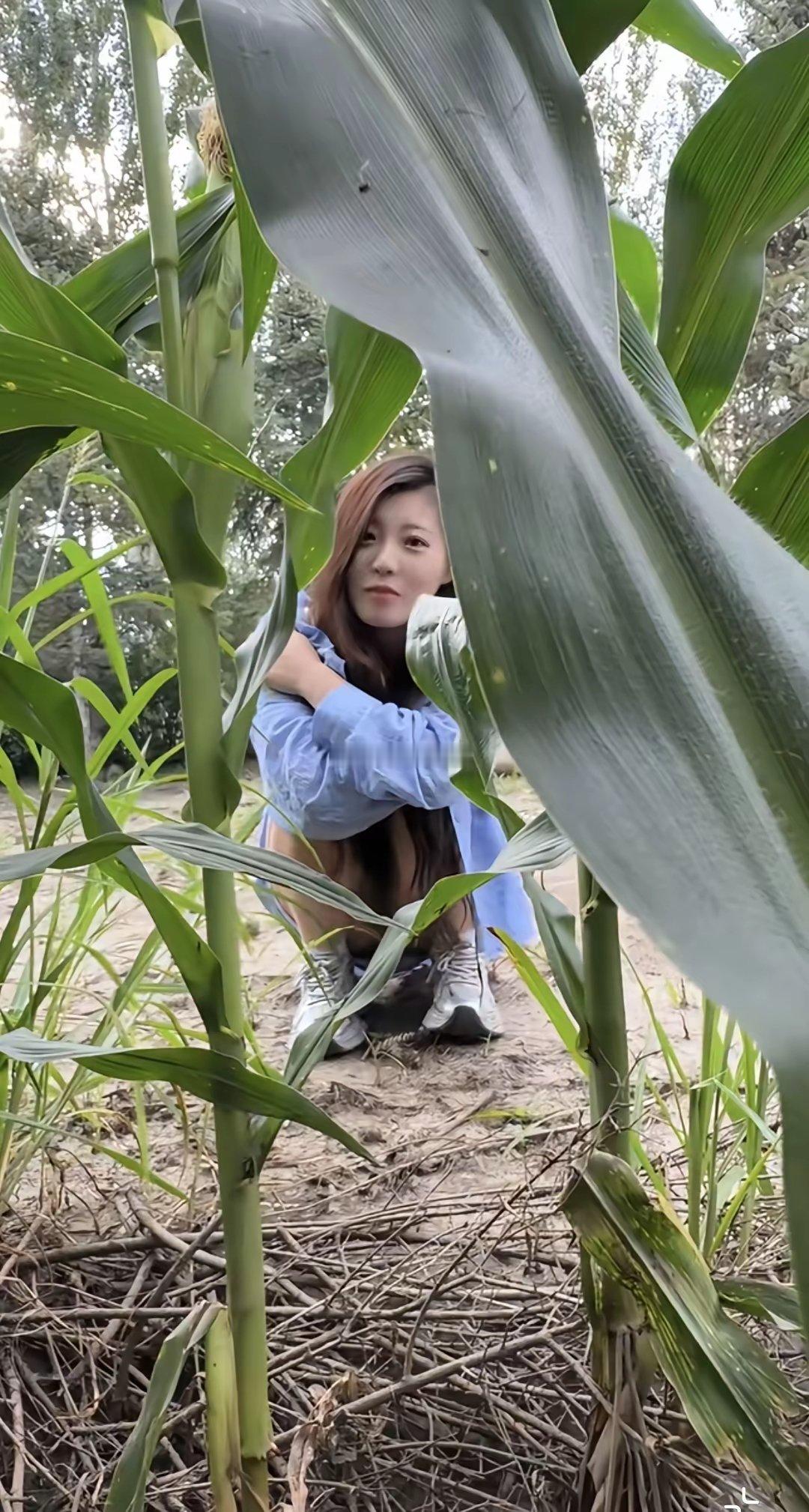 不小心吃坏肚子了把车停路边，在玉米地解决一下结果美女把我误会成偷玉米的了！​​