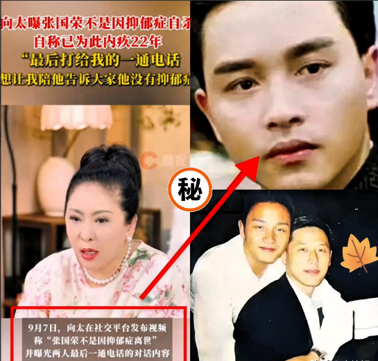 这次向太恐怕是忍不住了，不止全香港人都知道了，就连全中国人都知道了，那个在