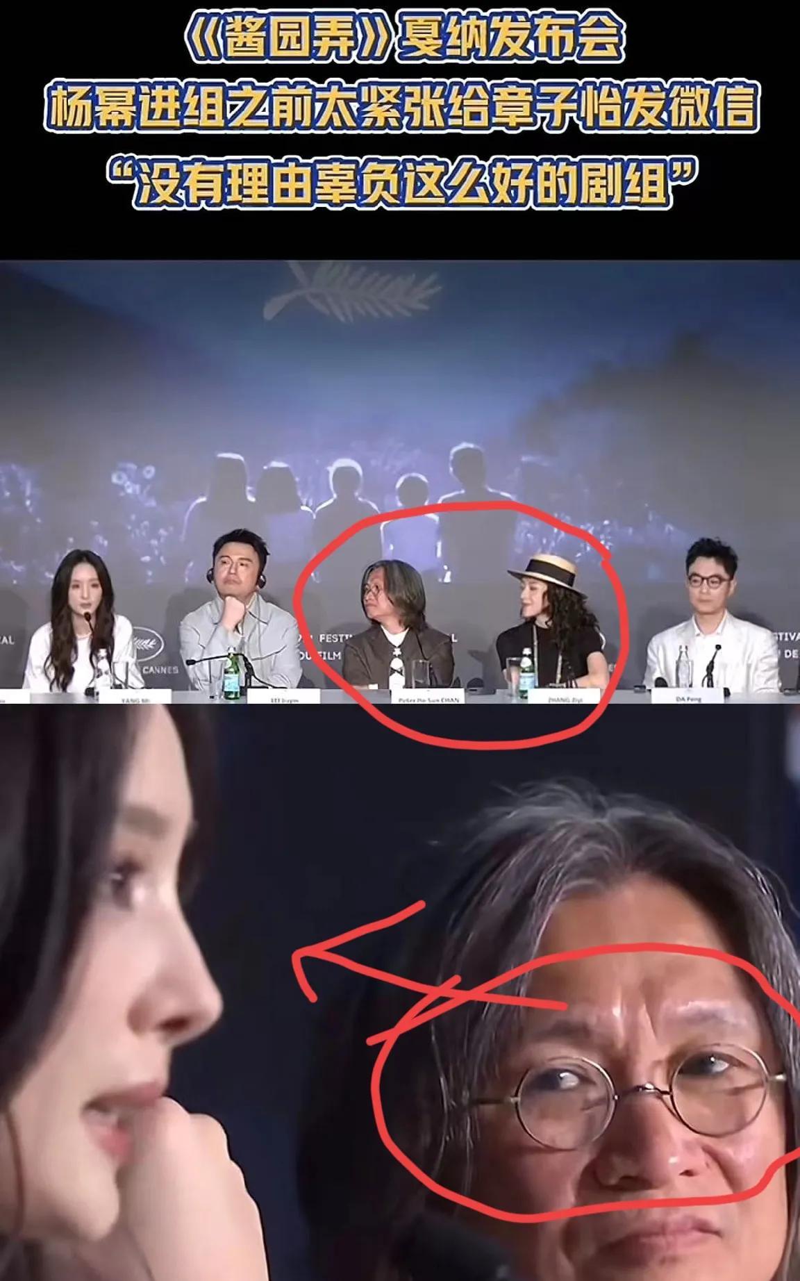 杨幂啊，你这次戛纳发布会稍微意思一下就行了，你看到了没？导演看你的眼神里全是欣