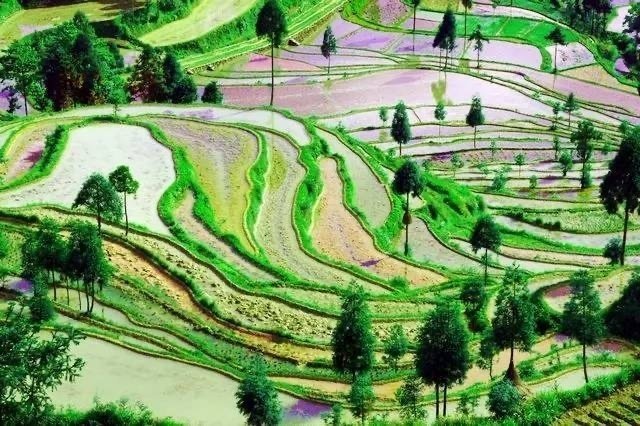 浙江·茗岙，云雾缭绕的山野村庄，构成了一幅绝美的画卷。​​​​