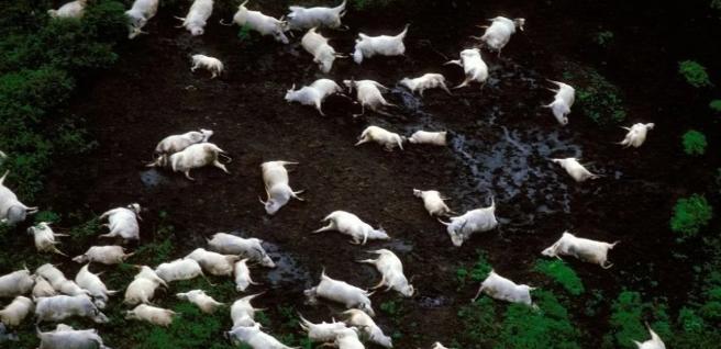 谁家水烧开了？1986年，一位村民半夜听到一阵烧开水的声音，他没在意，扭头又睡了