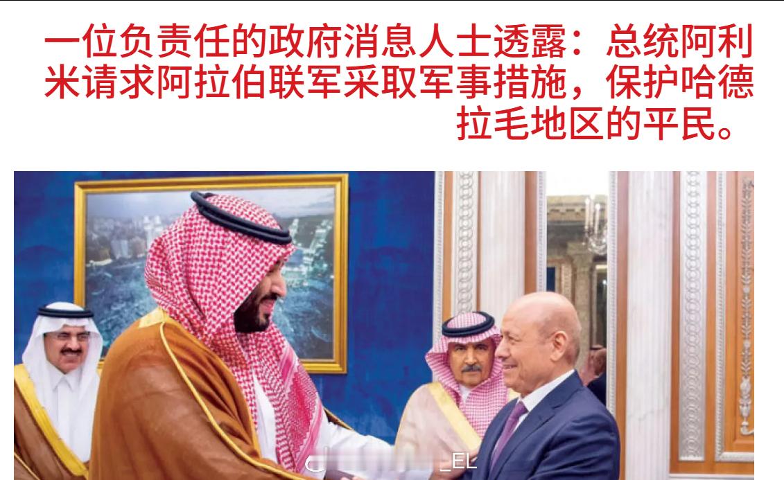 也门“总统领导委员会”主席阿里米呼吁沙特阿拉伯领导的多国联军采取军事行动“保护哈