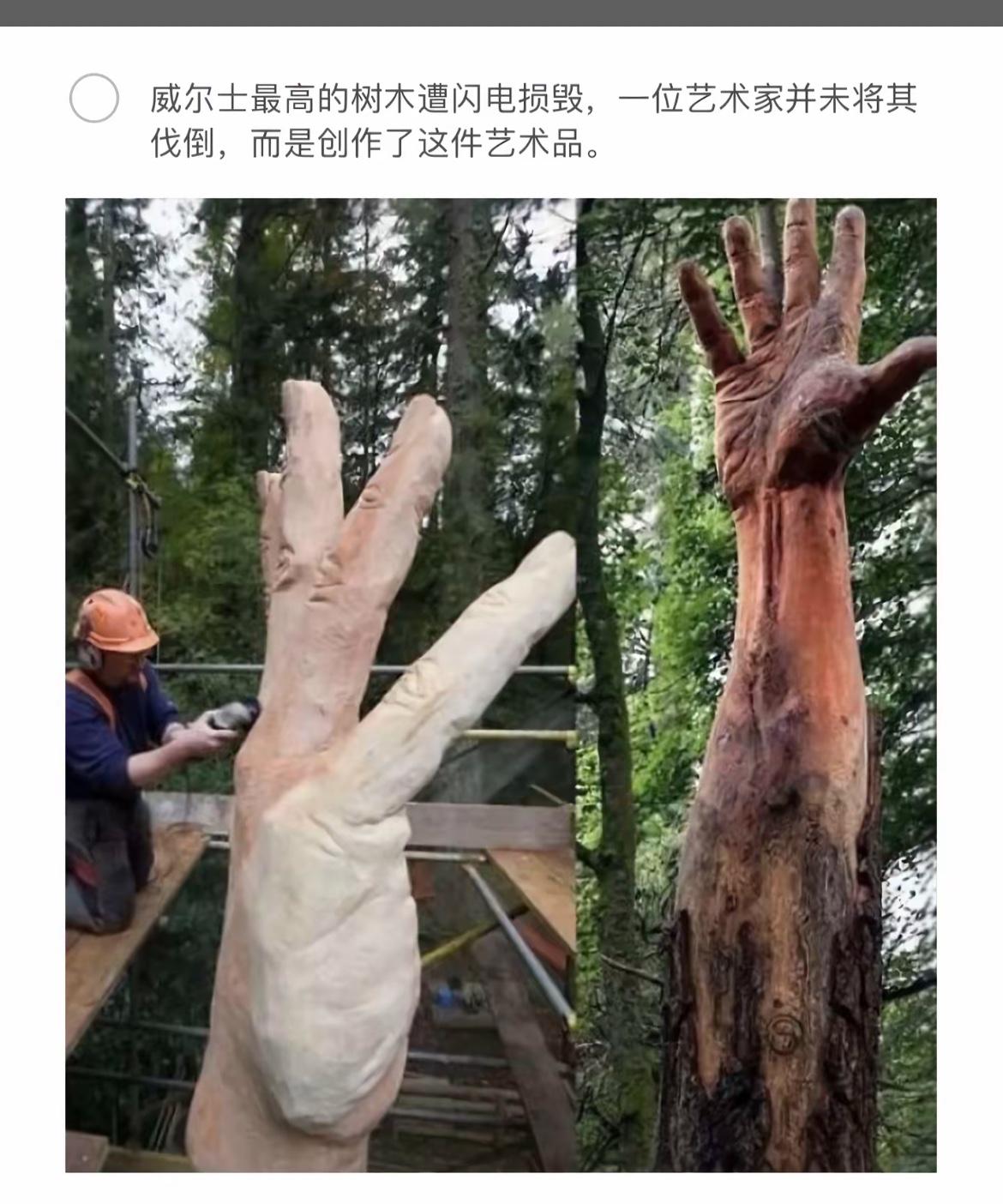 艺术家把树变成了一个“巨手”雕塑。