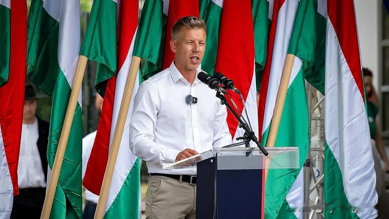 🇭🇺马扎尔（Magyar）指责欧尔班政府在移民问题上撒谎。他声称，尽管