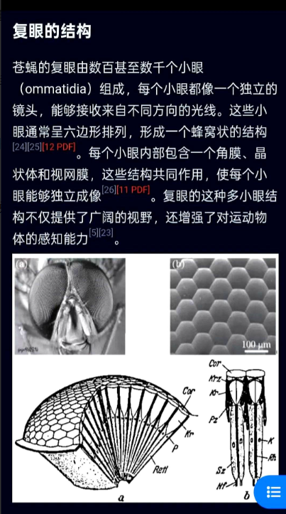 人类科技，在苍蝇复眼面前弱爆了。大白话说就是：4000余只复眼，每只都独立感