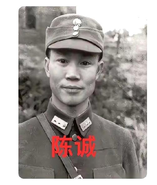 我跟你说个事儿，你绝对想不到。蒋介石最恨通共，最信任陈诚。1950年，吴