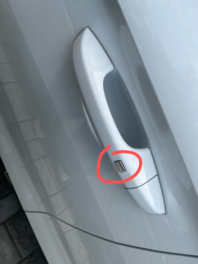 车里进老鼠怎么办之前放了半年都没事，进老鼠了把门把手那个按钮的接触线咬的得不