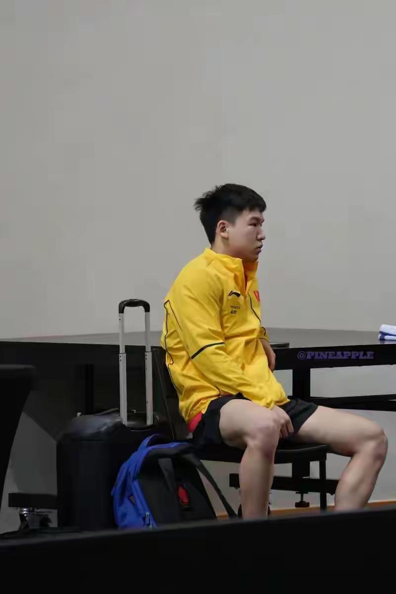 对于23岁的向鹏来说，这次世乒赛之旅无疑是令人失望的。他通过队内选拔赛的激烈竞争