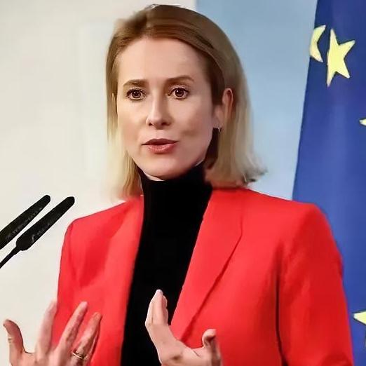 真是笑不活了，欧盟外长卡拉斯这是在亲口承认自己目前智商不在线吗？近日，一名记