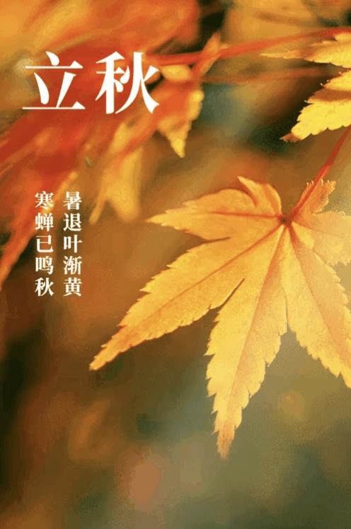 8月7日立秋，今年是“闭眼秋”，老辈人说的“闭眼秋”是什么意思？翻翻日历，2
