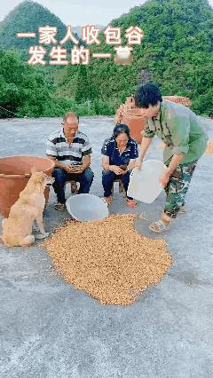 我觉得他在讽刺什么，但是我没有证据。