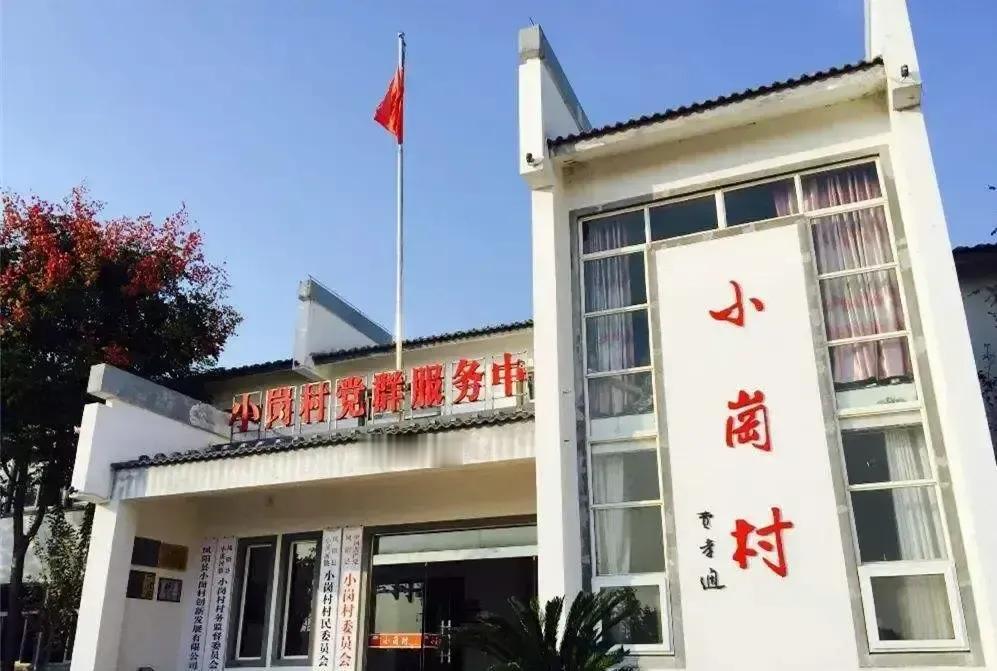 王宏斌把南街村攥成一只拳头，全村人一起抡。免费住房、免费看病、孩子学费村里掏，