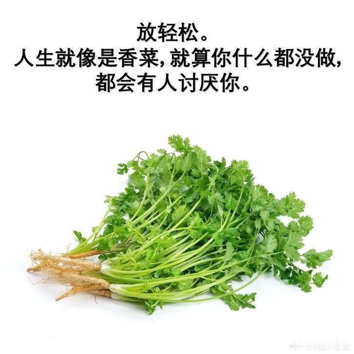 其实人是一根香蕉人类的本质是香蕉。
