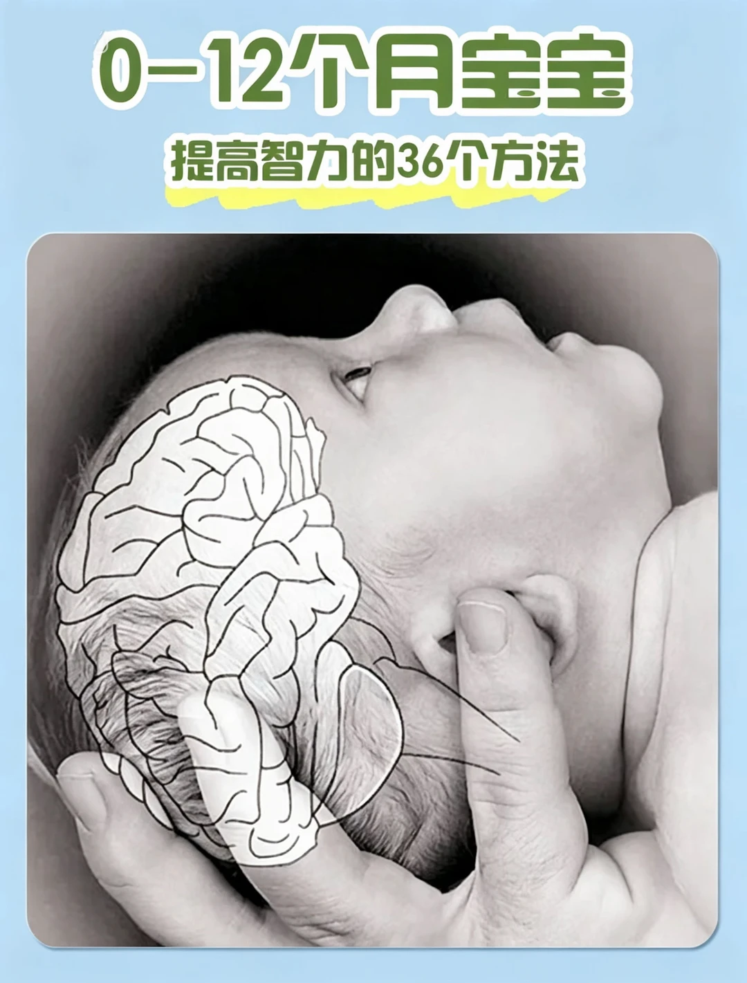 提高宝宝智力的36种方法！在家免费做早教✅