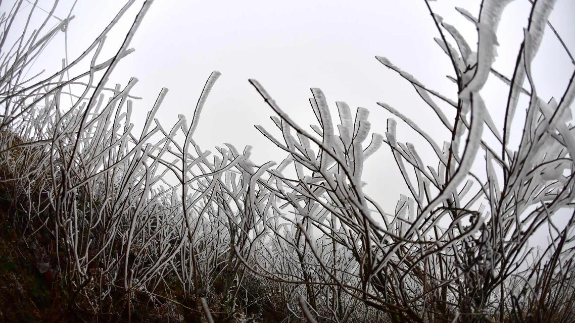 寒潮强势南下，全国多地气温“断崖式”下跌。12月1日至3日，北方局地降温高达14