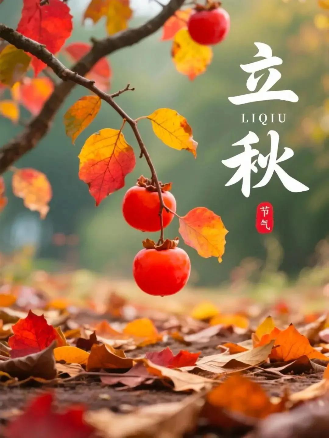 立秋立秋是不是快到果实累累的季节啊