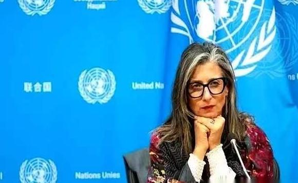 联合国里，终于来了个狠人。意大利法学家阿尔巴内塞带来一份重磅报告，当着全世界