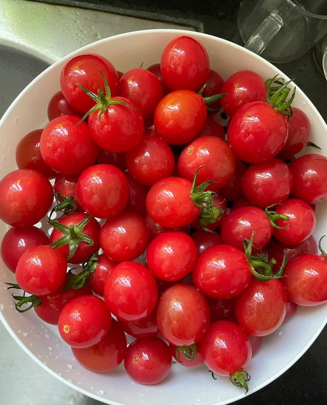 消费降级后，蓝莓有点吃不起了，小番茄反而越看越顺眼。现在这日子，赚钱不