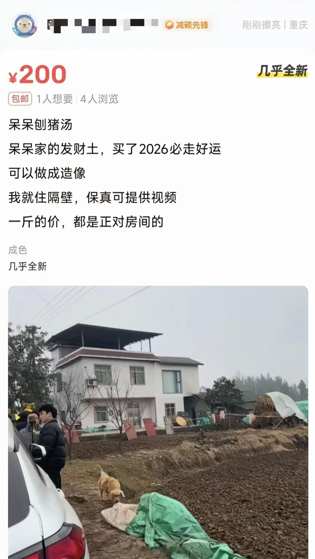 这个世界还是太癫了，有人挖呆呆家门口的土，当成发财土在网上卖