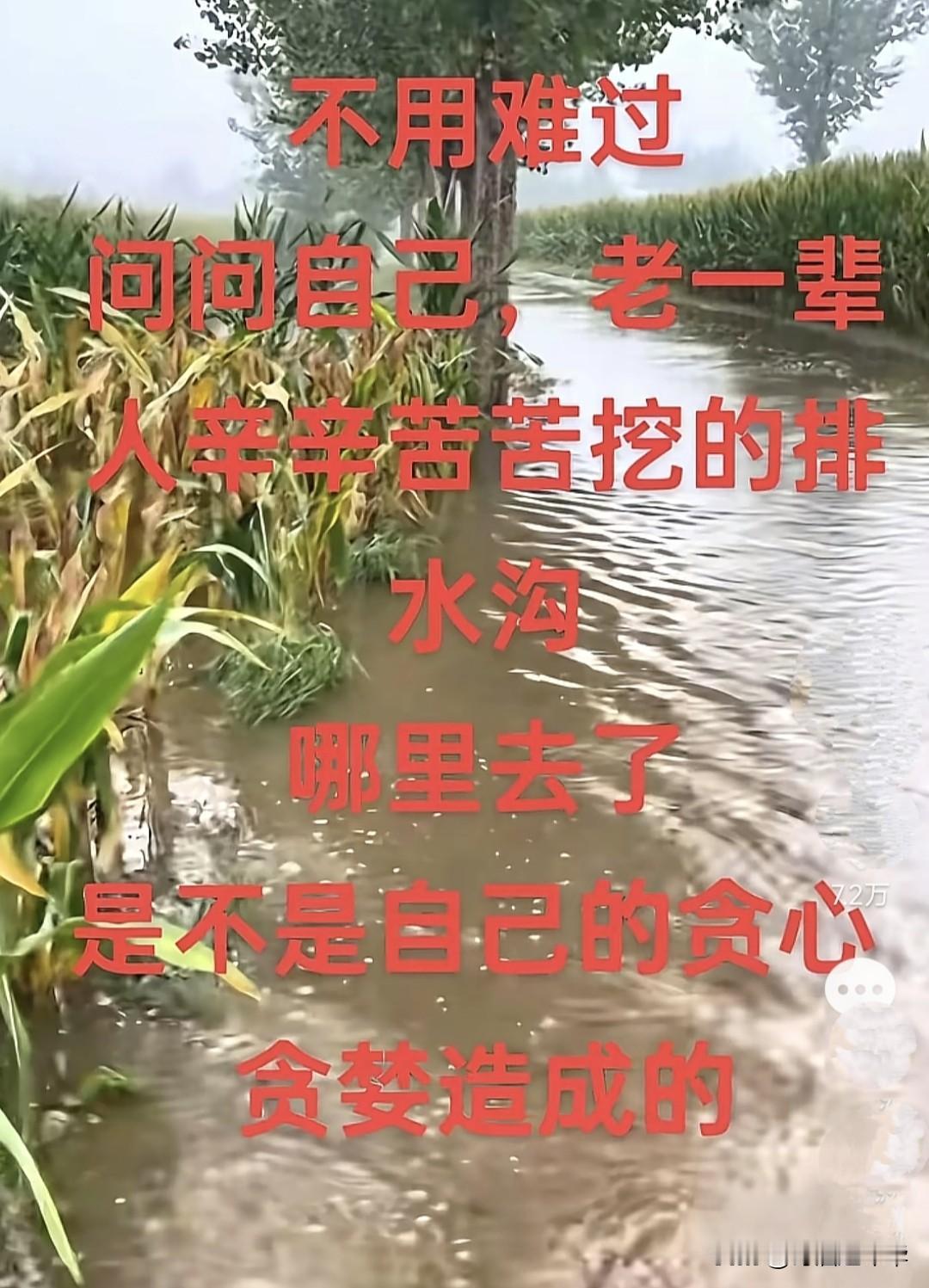 农田积水被淹是不是自己的贪心造成的，今年入秋以来，河南山东等地持续降雨，多地秋收