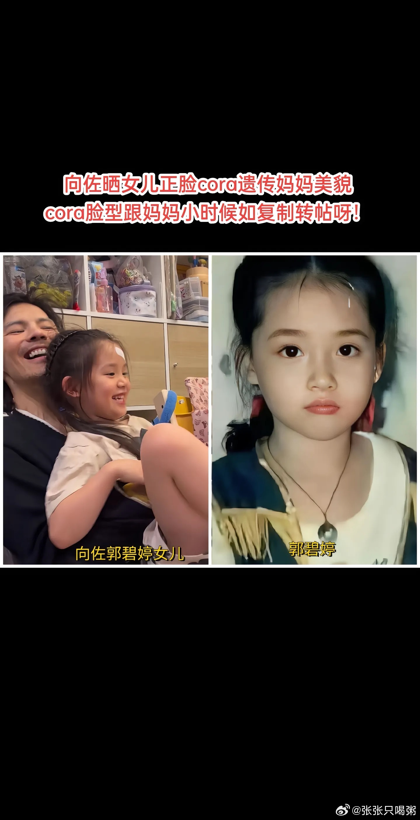 郭碧婷的基因，把向家三代颜值给“格式化”了