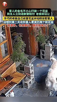 “这道歉很有心！”广东广州，一女子带着金毛逛咖啡店，结果，金毛不小心打破了门口的