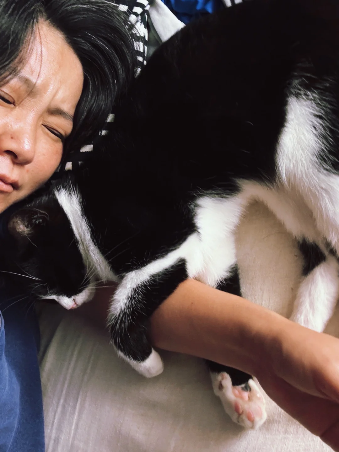 半夜醒来发现小臭猫偷偷吸我
