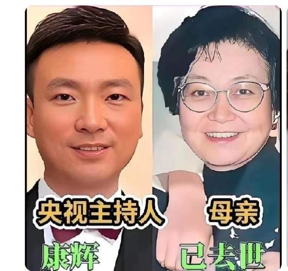 康辉和妈妈同框董卿和妈妈同框朱迅和妈妈同框三位央视主持人和妈妈同框，长得真