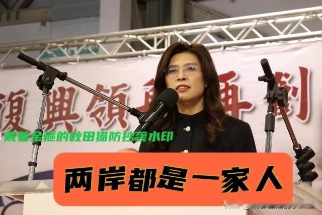 郑丽文同框洪秀柱！纪念七七抗战发言掏心掏肺：两岸都是中国人，别再自己人打自己人