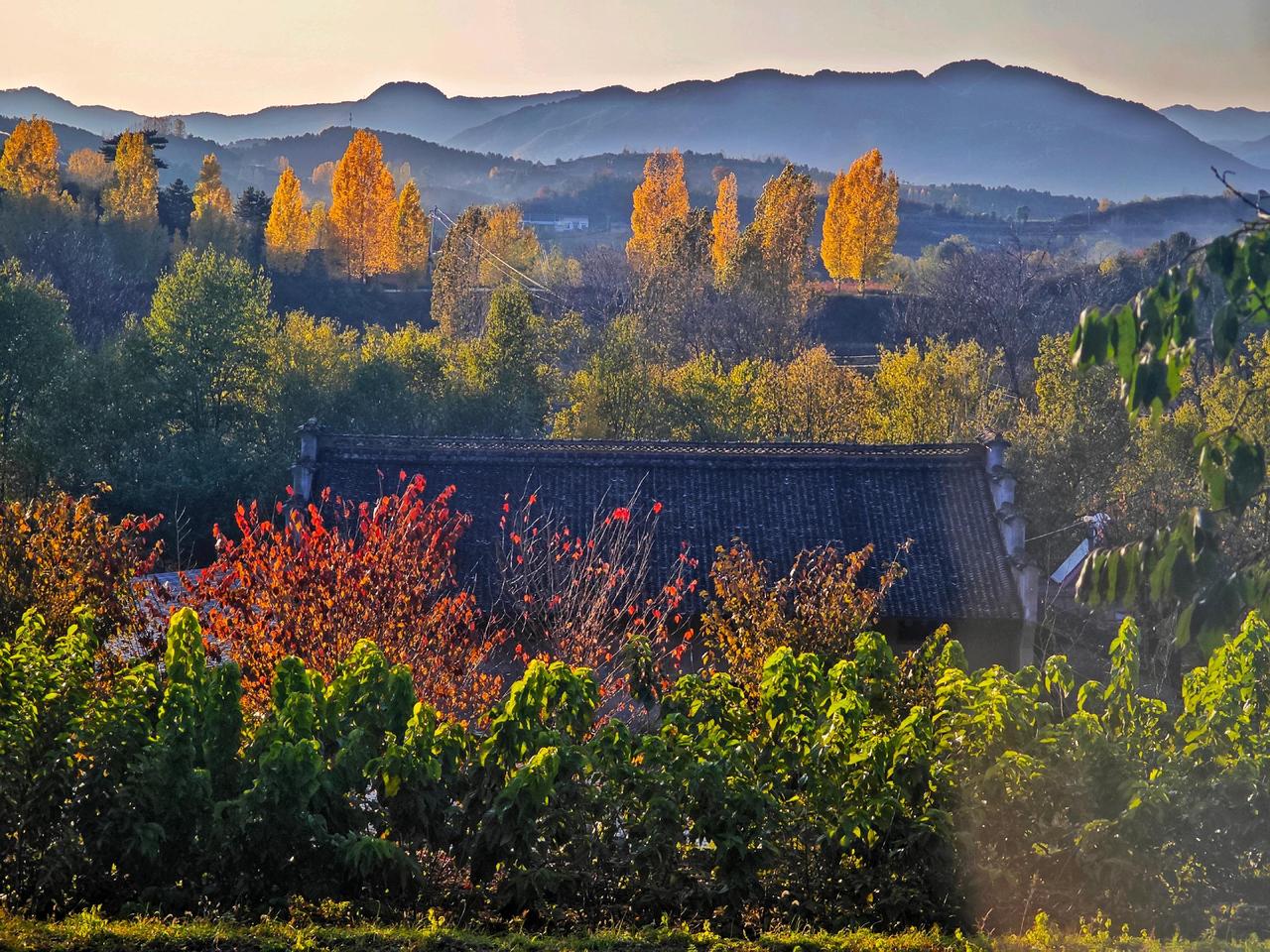 ＃魅力平木醉美东庄＃＃我用摄影看世界＃