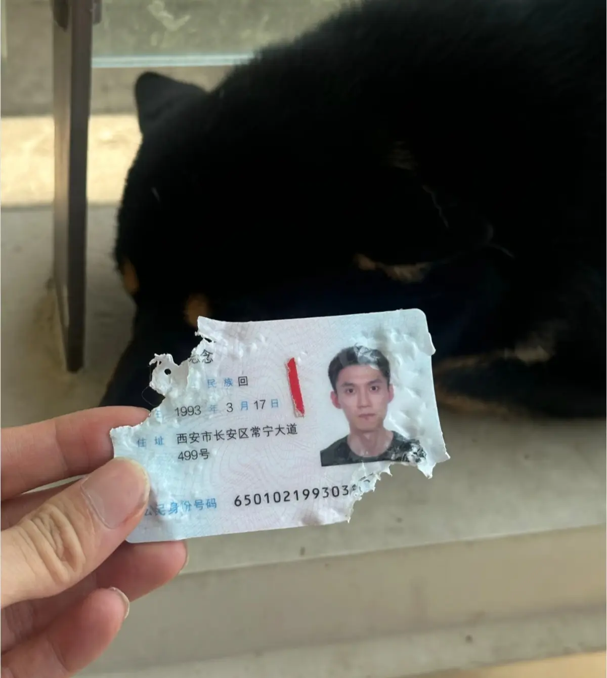 一觉起来天都塌了，下午还要出差呢