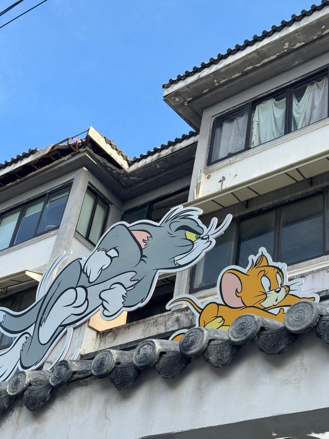 要不是为了猫和老鼠的乐子，大热天谁还想跑步啊​​​