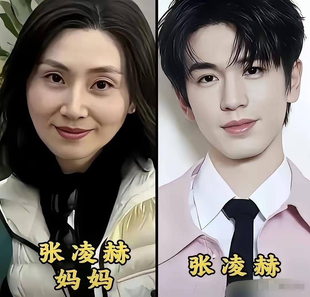刘学义的妈妈气质真的绝了，眉眼温婉大气，若是重回二十岁，绝对是惊艳众人的大美人！