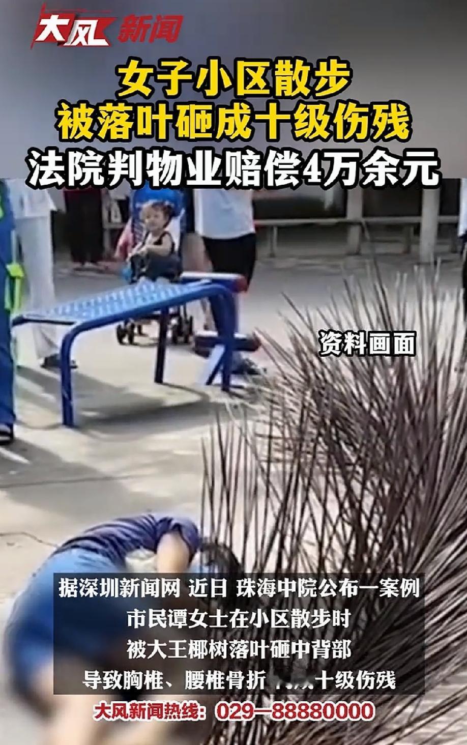 能被树叶砸骨折？广东珠海，女子在小区散步时，不小心被落叶砸中后背，致其胸椎和腰椎