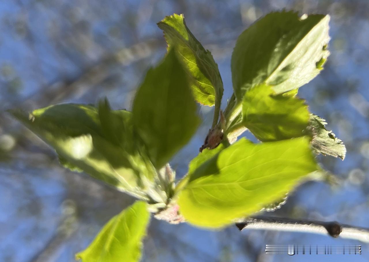 私家车年检的意义是什么?1.排查安全隐患车刹车不灵、灯光不全、轮胎报废、转