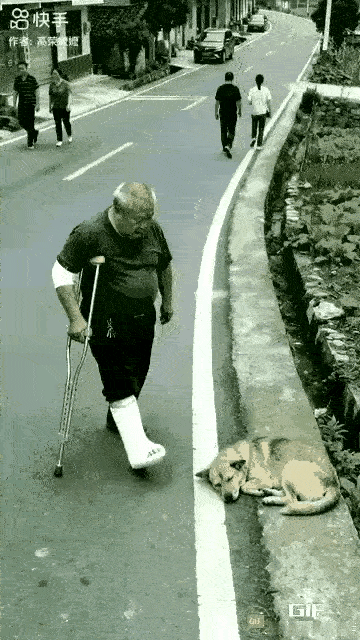 这就叫讨狗嫌！狗狗也没惹你打它干嘛呀？完犊子了吧！[呲牙笑][呲牙笑][呲牙笑]