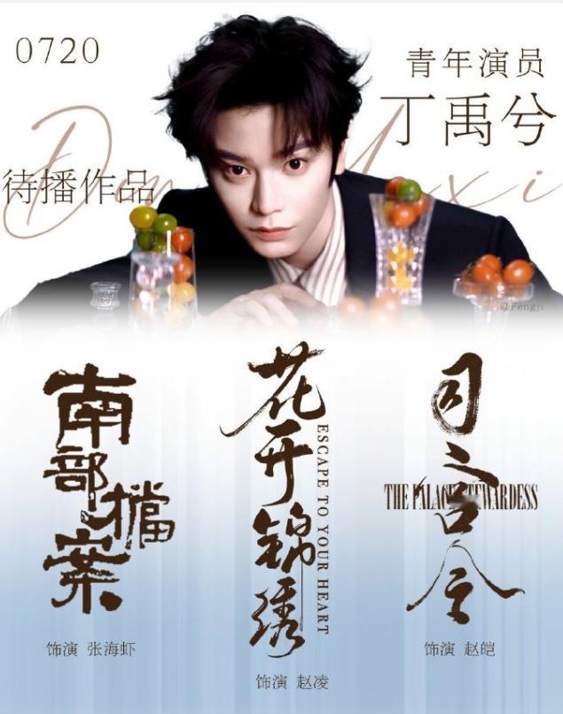 丁禹兮今年没那么火爆了！这个问题不止是丁禹兮，靠一部剧大火，后期没有高质量作品