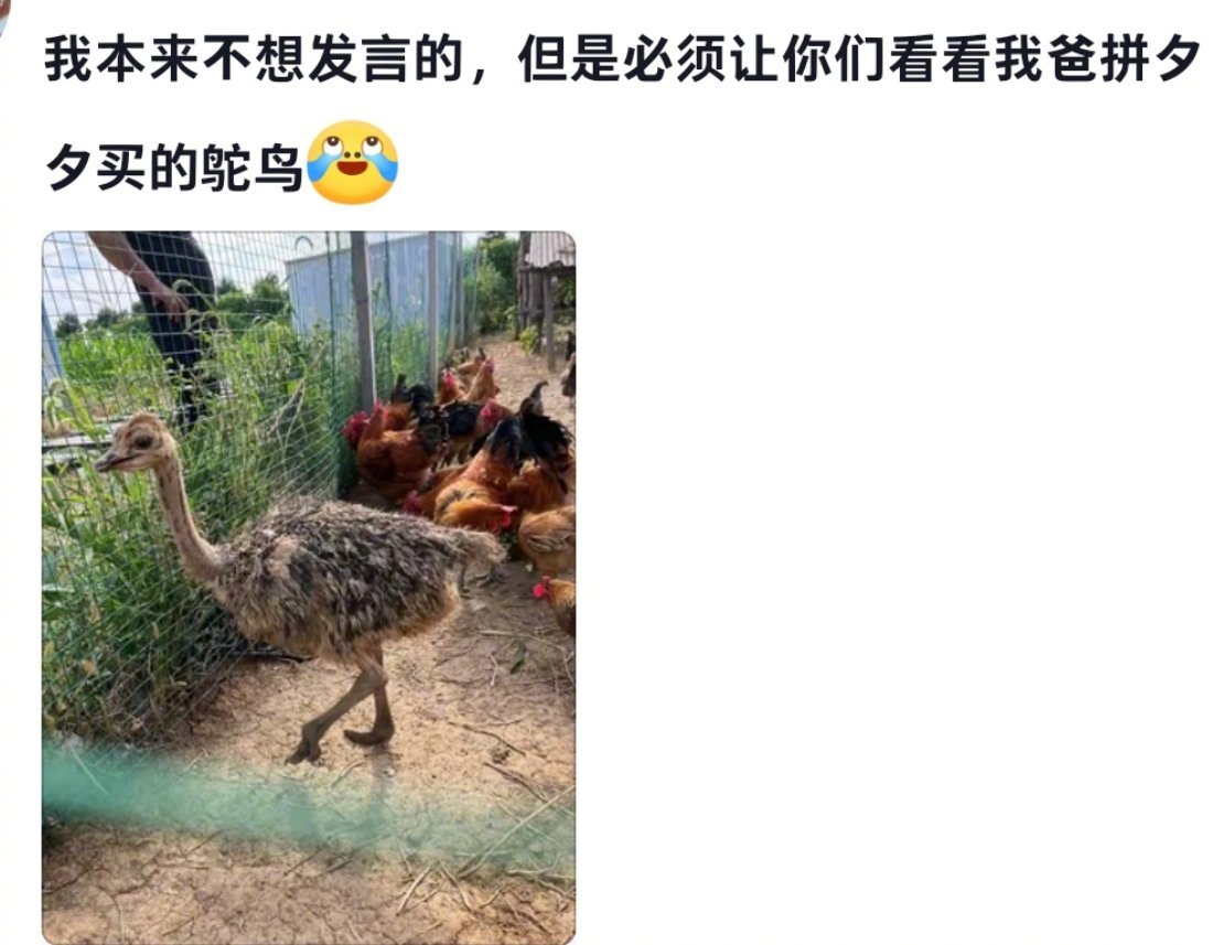 当老辈子的人学会网购