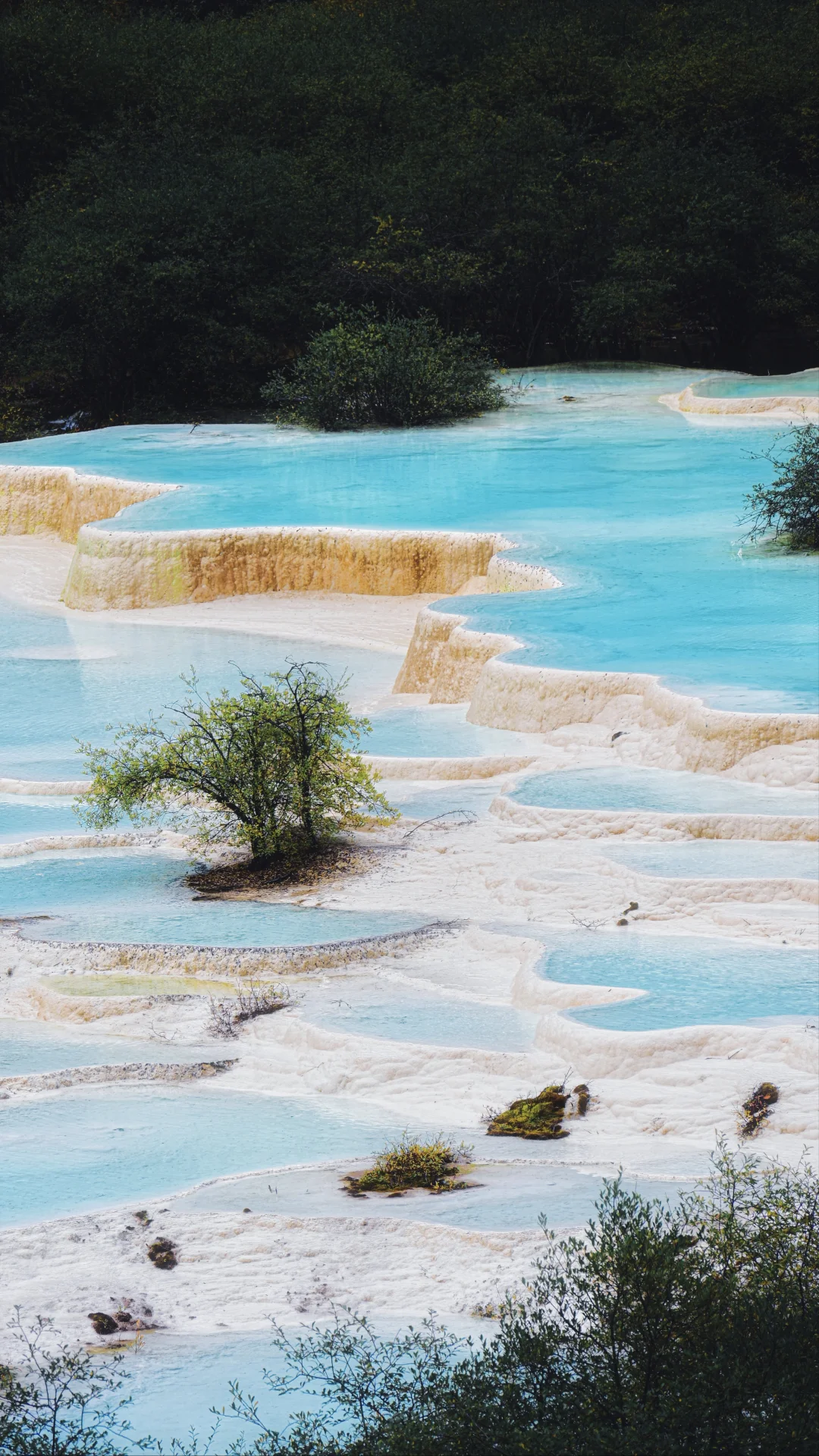 川西旅游，被严重低估的世外桃源…