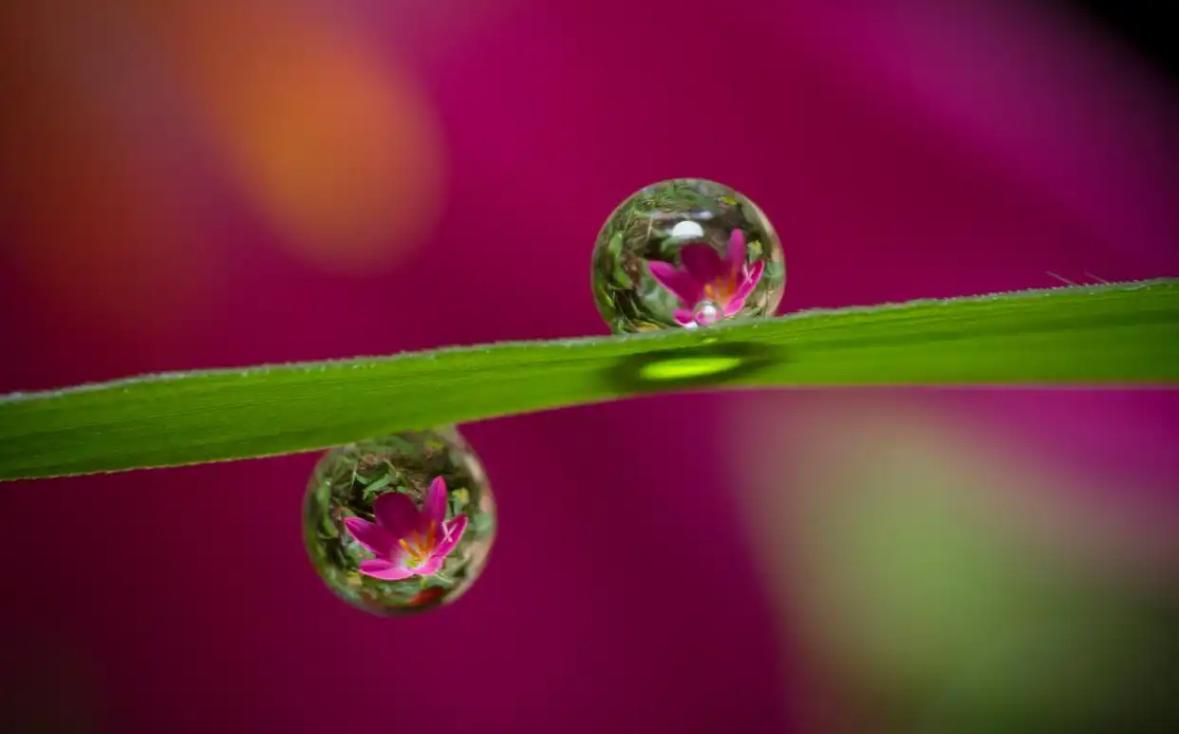 菏泽彩礼5个9万9，是不是真的？日照小伙27岁，在国企上班，有车有房，父母双