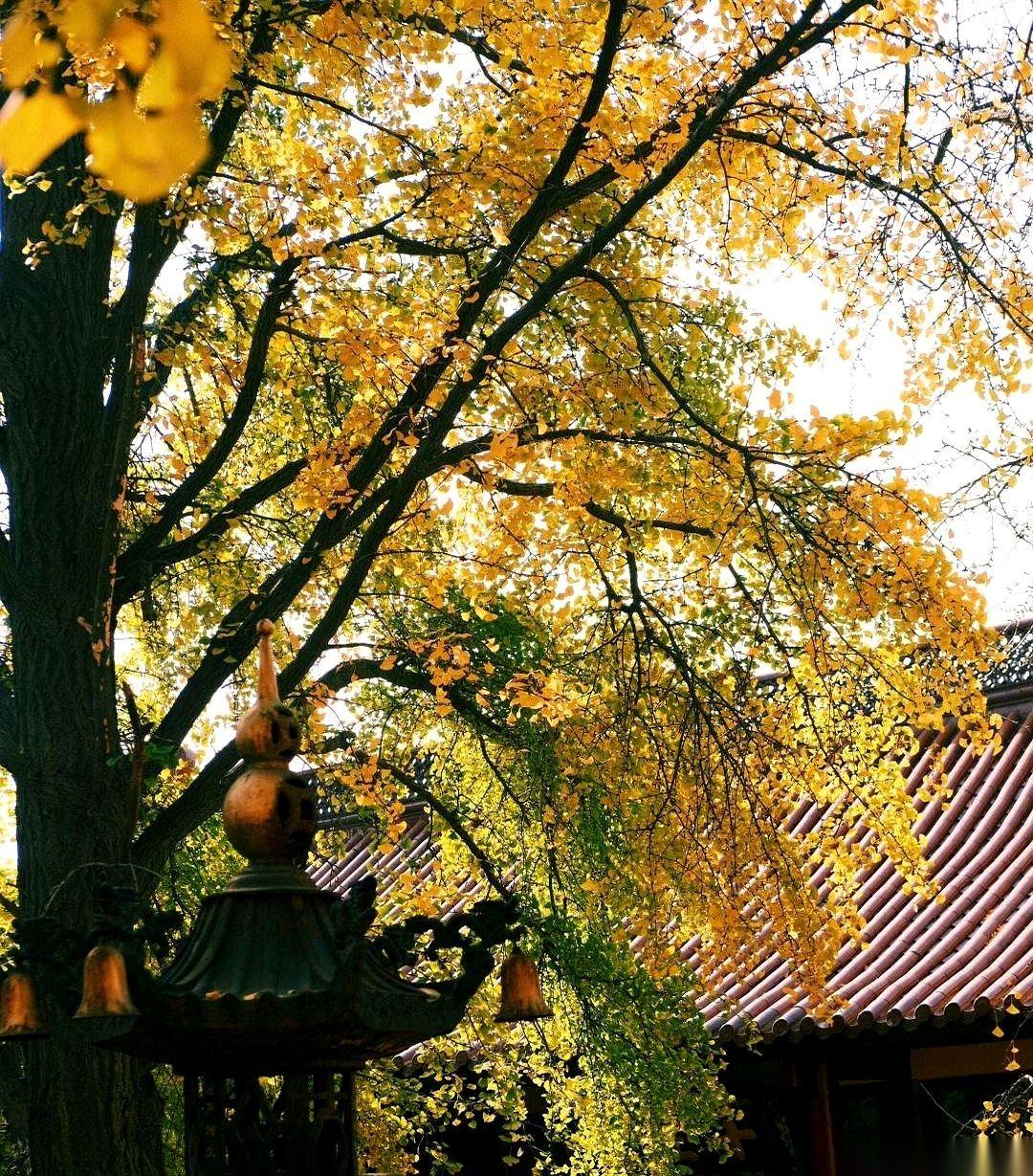 别再怨了。真的。你现在经历的所有烂事，遇到的所有人，赚到的每一分钱，说白了，